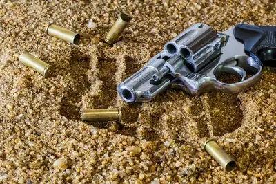 Firearms